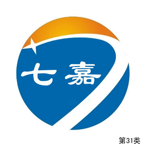 �߼�-��31�